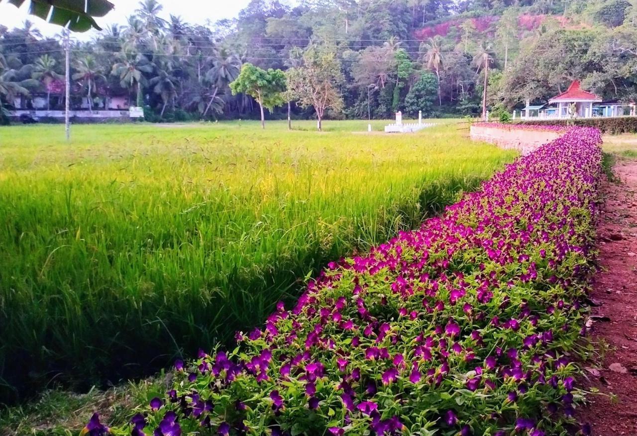 Leisure Land Bed and Breakfast Galle Buitenkant foto