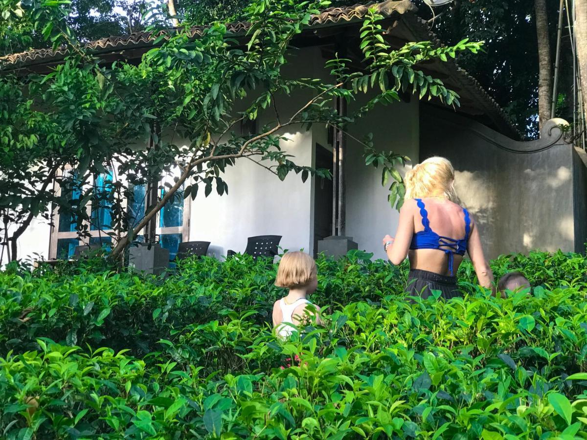 Leisure Land Bed and Breakfast Galle Buitenkant foto