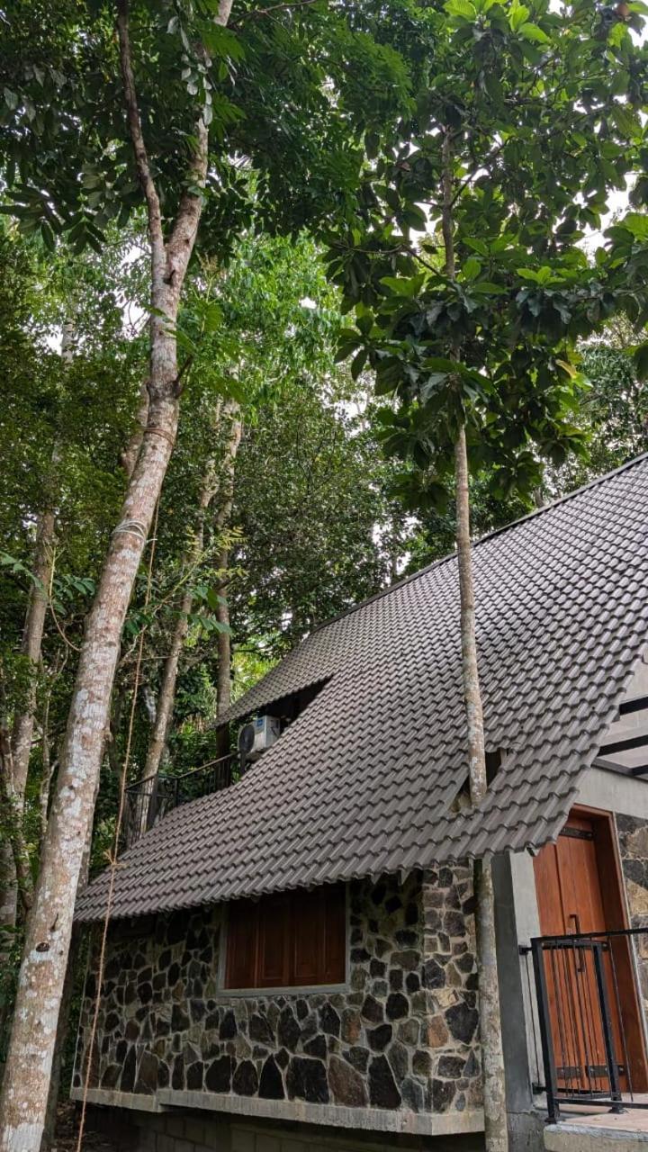 Leisure Land Bed and Breakfast Galle Kamer foto